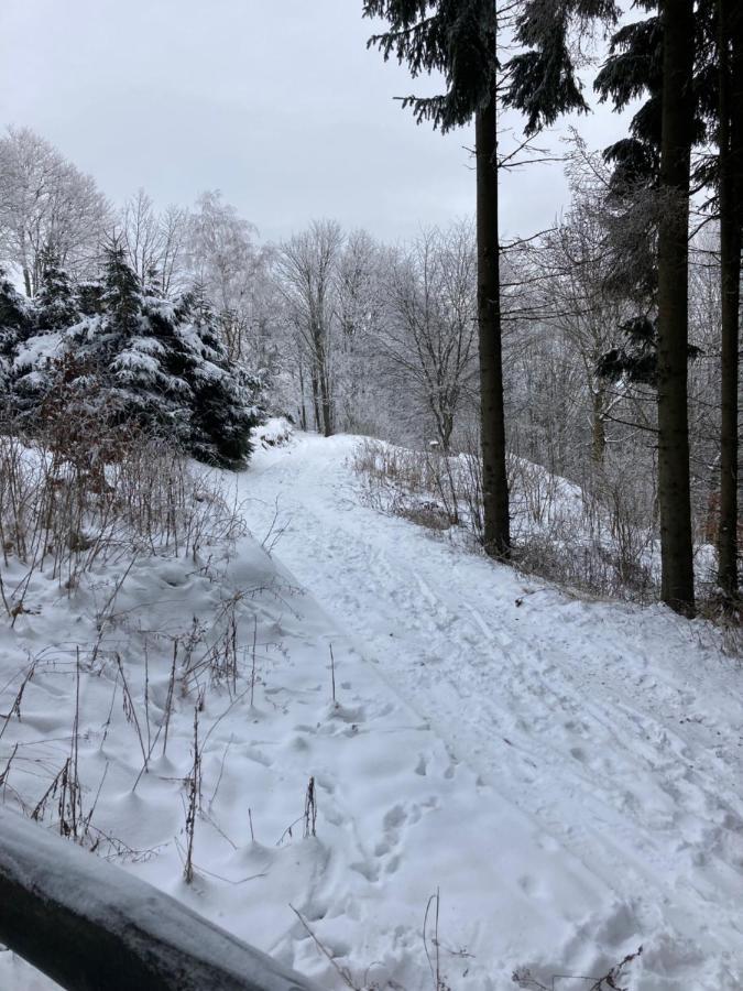 Chata Alsovka Medenec Eksteriør bilde